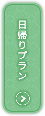 日帰りプラン