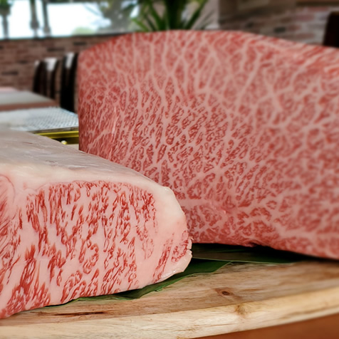 松坂牛